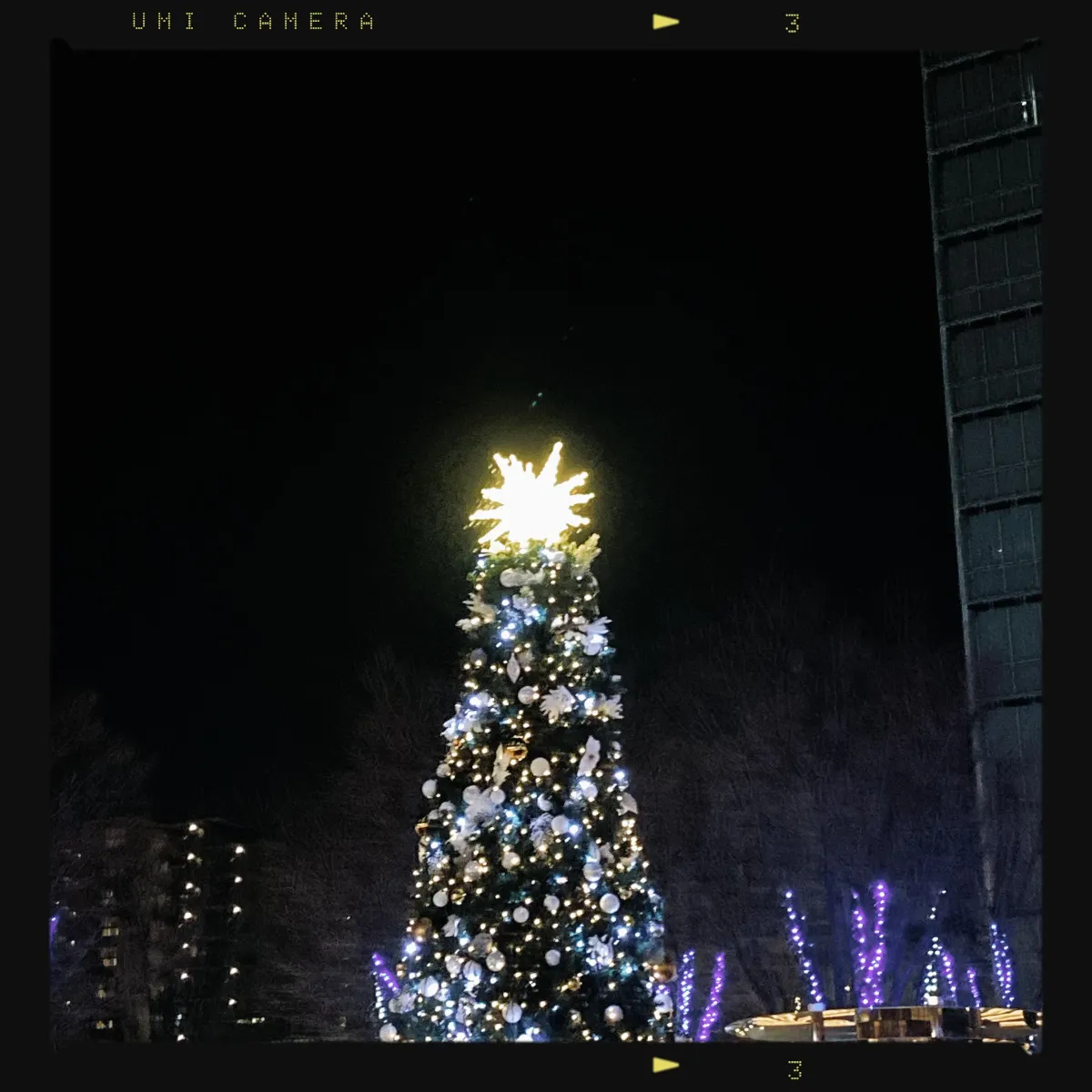 Christmas memories captured perfectly