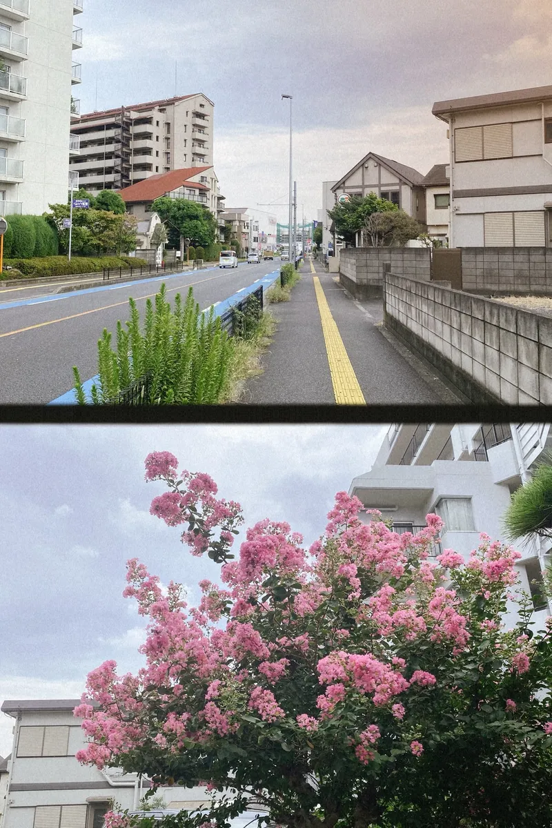 Flowers and City 2in1