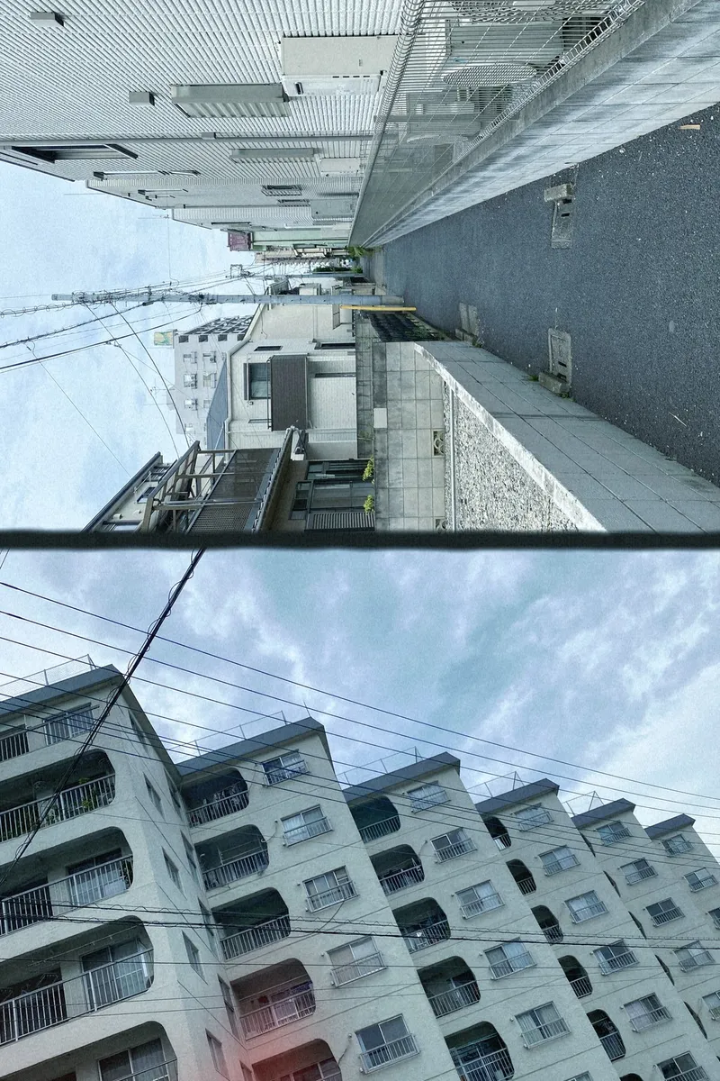 Fleeting Colors 2in1