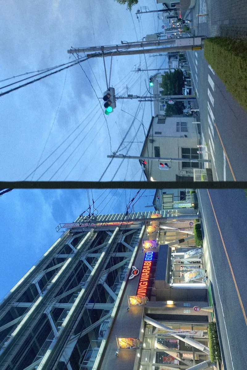 Light and Light 2in1