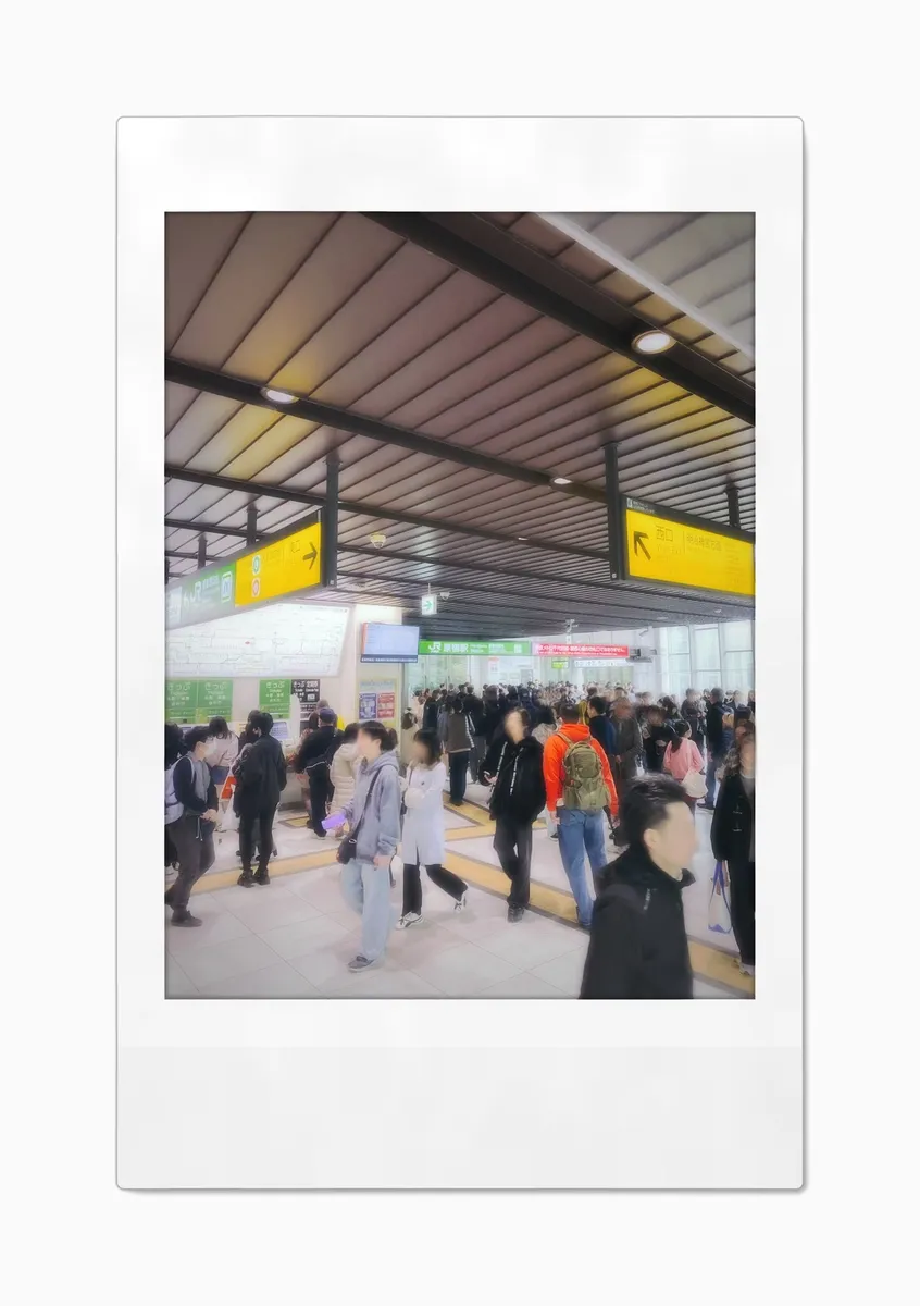 Vibrant and colorful