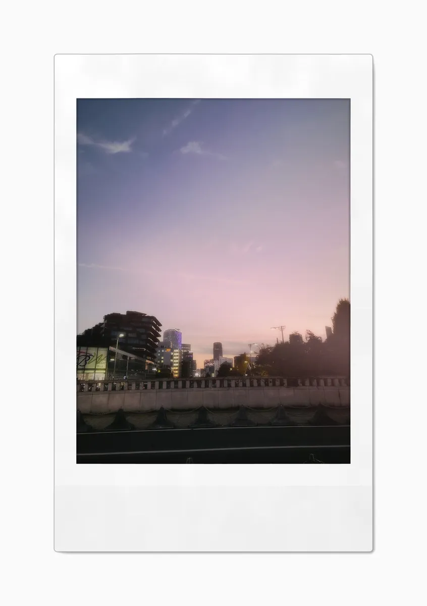 Warmth of the sunset