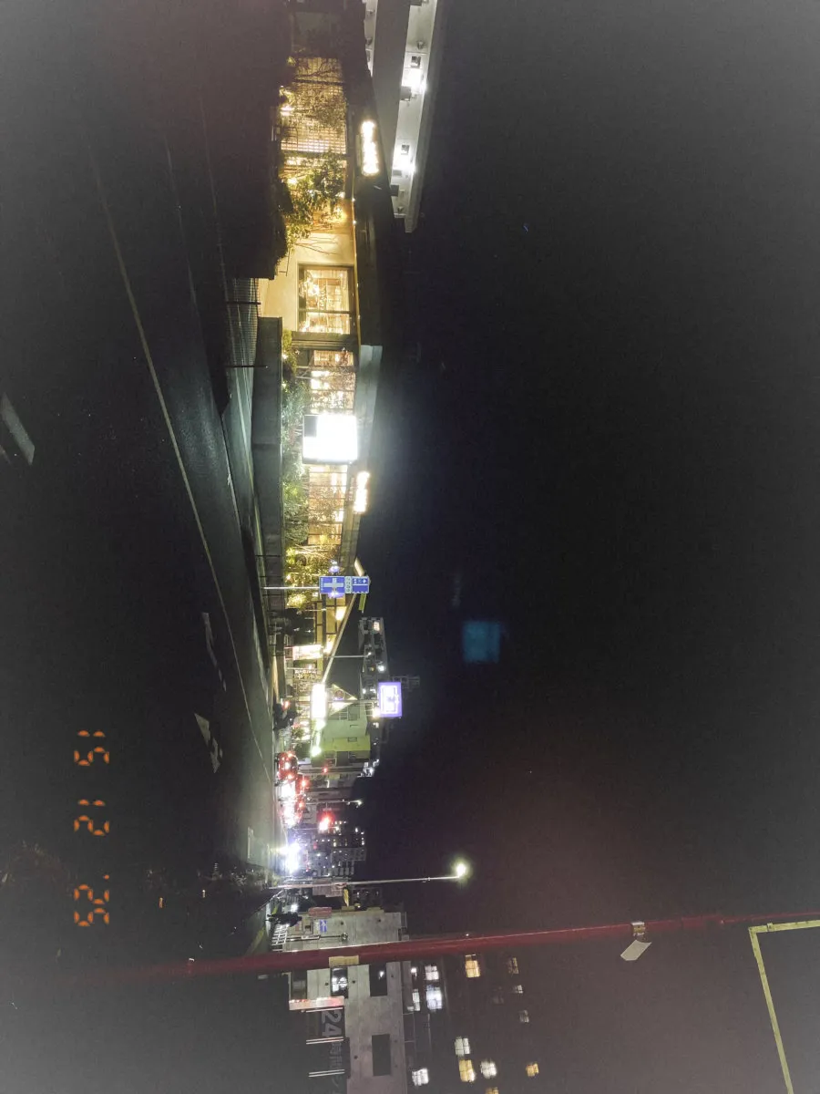 White vignettes stand out against the night view