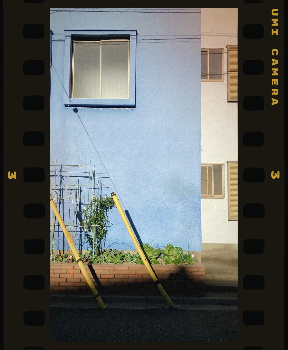 Framed within the film