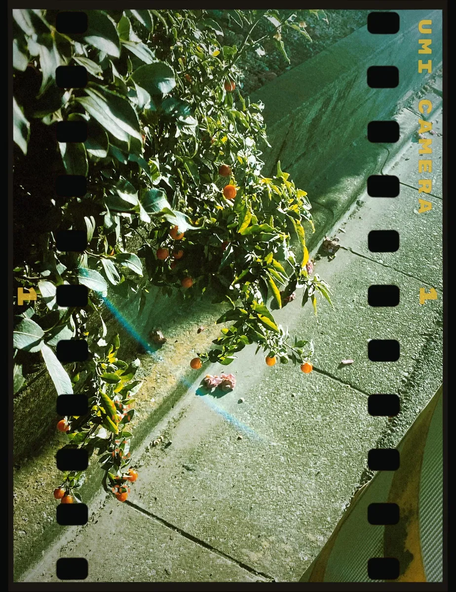 Light across the entire film