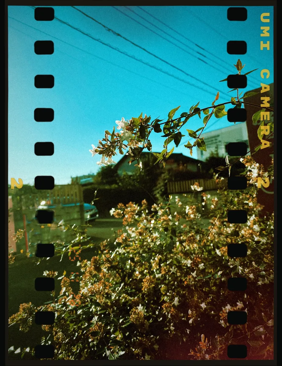 Every part of daily life