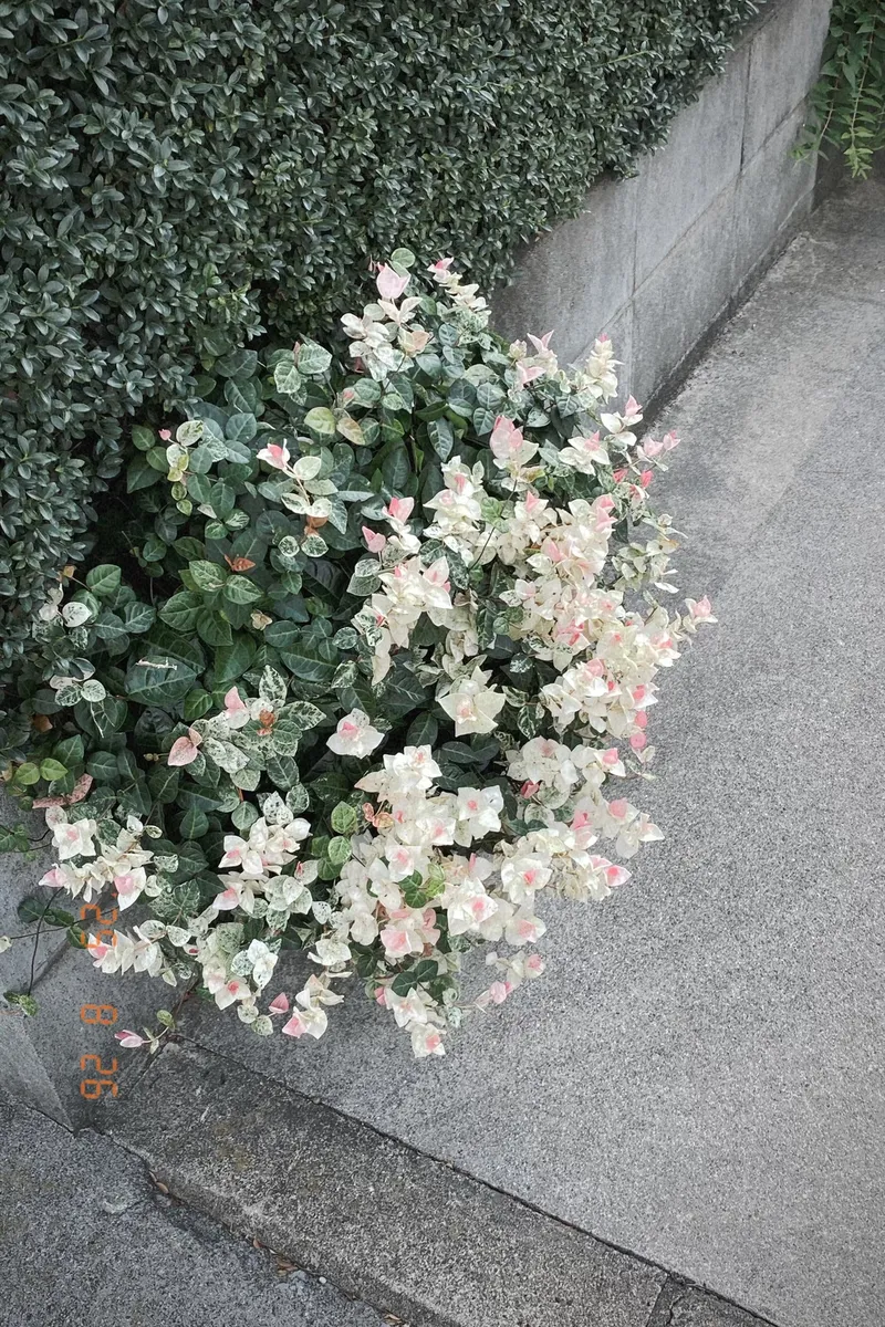 Ordinary moments on film