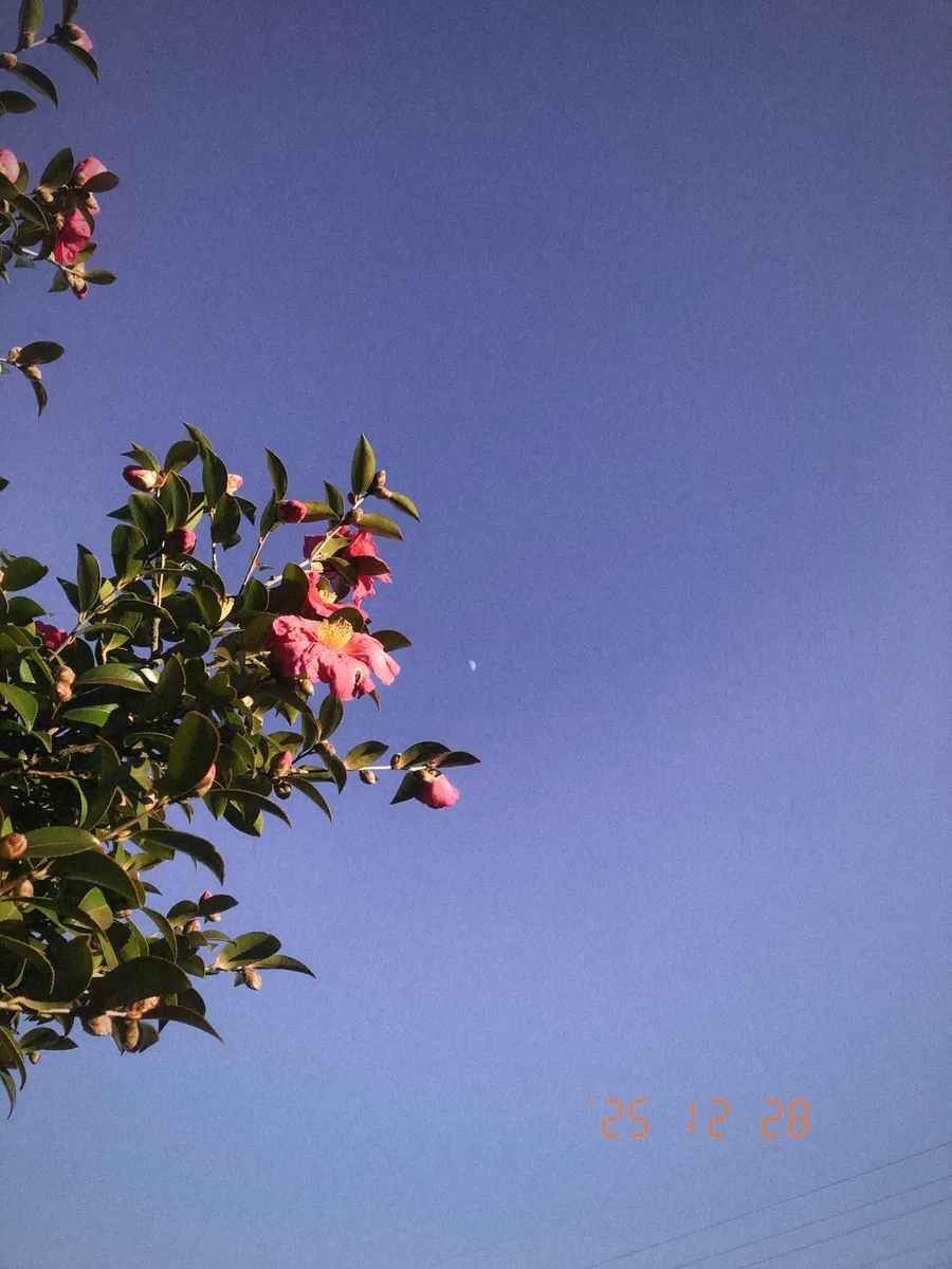 date stamp portrait 02