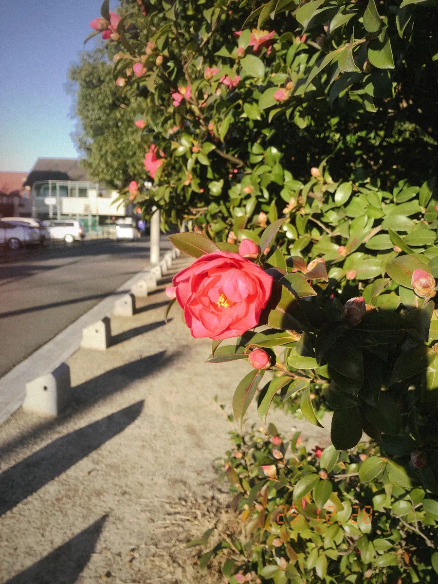 date stamp portrait 03