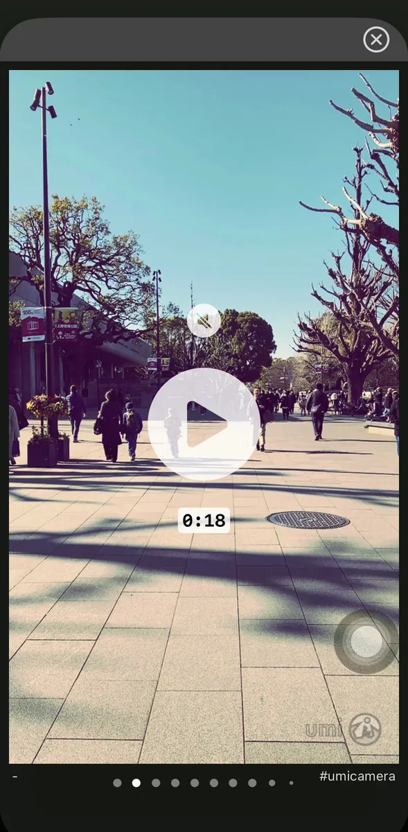 Tap the play button to start playback. Previews are muted by default.