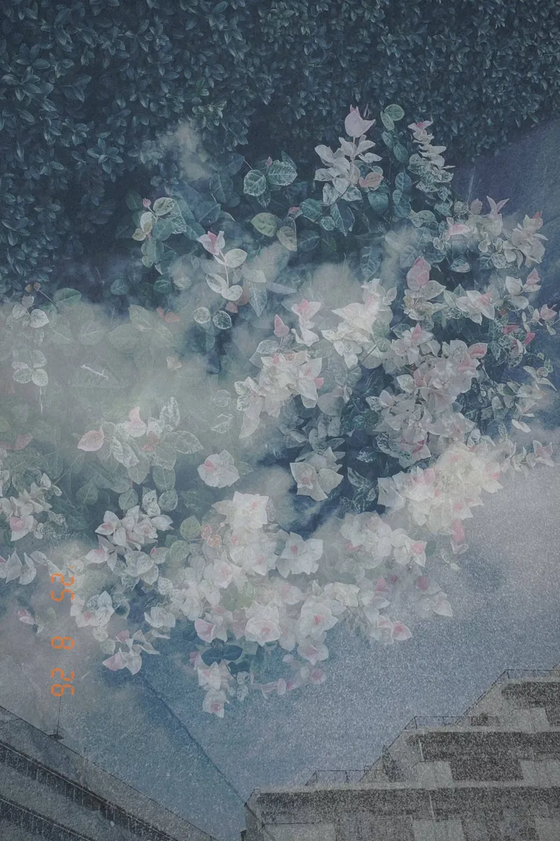 umi Camera {t('top_double_exposure')}