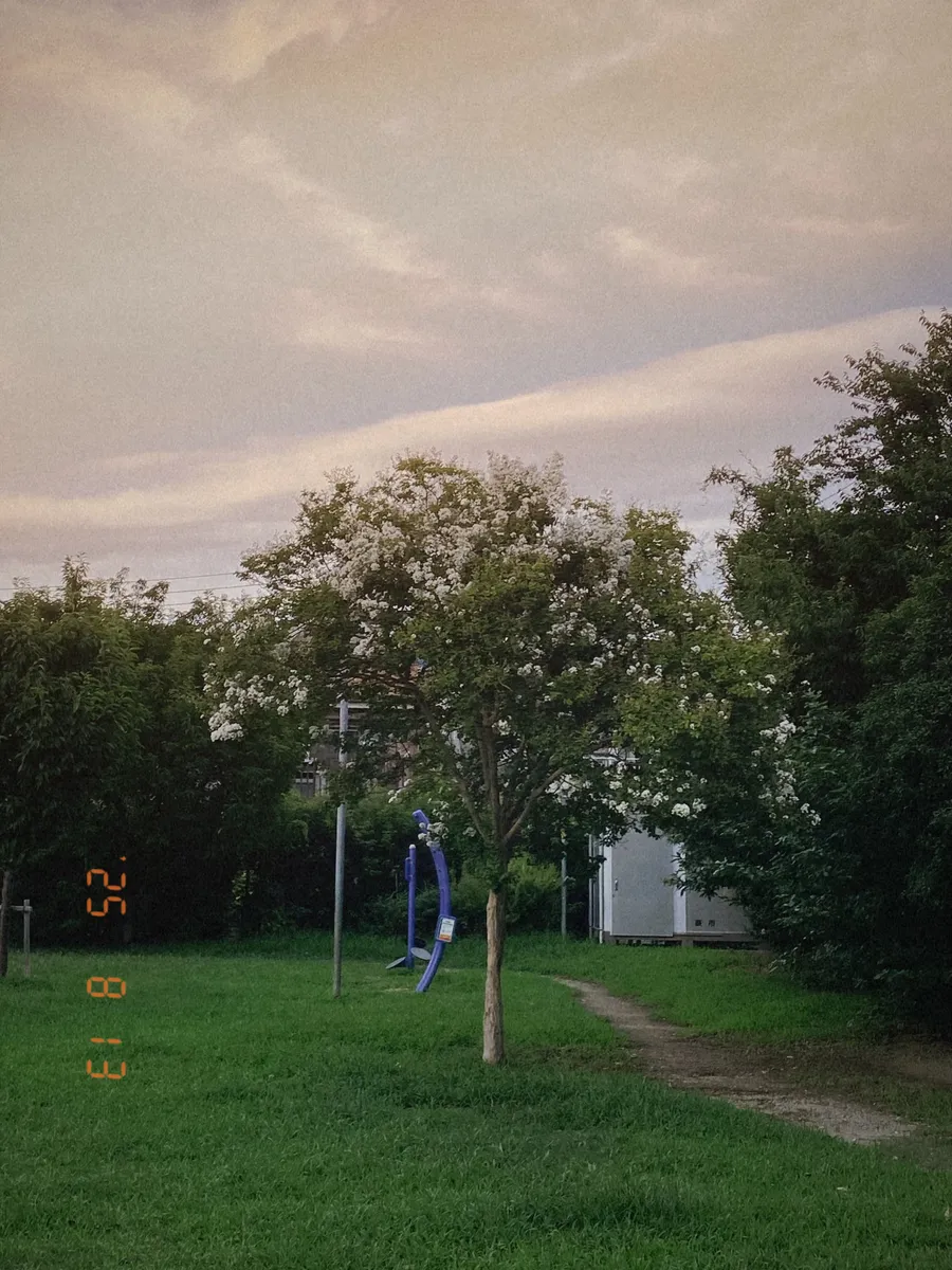 umi Camera {t('top_filters')}